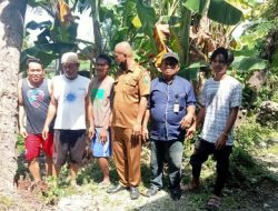 Pohon Kelapa Tumbang Nyaris Timpa Rumah Warga di Garogo, Beruntung Pohonnya Tersangkut