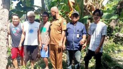 pohon tumbang garogo