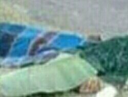 Tabrak Lari, Ayah dan Anak di Dusun Belalang Tewas