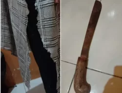 Lagi Dan Lagi, Penjelajah Kelamin Wanita Beraksi Di Kos-Kosan