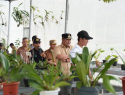 M2B, Jenis Anggrek yang Baru di Mamasa, Begini Penampakannya