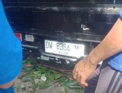 BreakingNews: Pick Up Pengangkut Telur Pecah Ban di Batutaku, Ratusan Telur Pecah