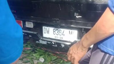 BreakingNews: Pick Up Pengangkut Telur Pecah Ban di Batutaku, Ratusan Telur Pecah