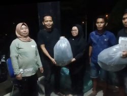 Mamuju dan Mamasa Kecipratan 200 Ribu Bibit Ikan Nila