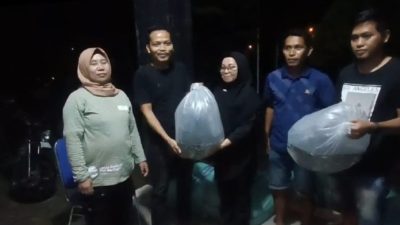 Bibit ikan nila sulbar