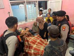 Penggembala Sapi di Luyo Tak Berdaya Dilempari Batu Hingga Dirawat di PKM