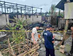 Kebakaran di Desa Lampoko, Begini Kronologinya