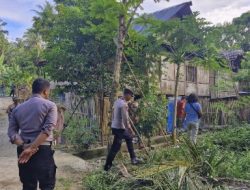 Angin Kencang di Tinambung, Rumah Kakek 72 Tahun  Tertimpa Pohon Kelapa