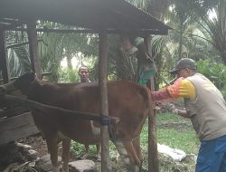 Pelayanan IB Tetap Berjalan Selama Bulan Ramadan di Sulawesi Barat