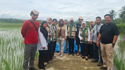 Dukung Visi Misi Gubernur SDK, DTPHP Sulbar Siap Bantu Petani Mapilli Bangkit dari Gagal Panen