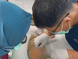 Steril Anabul untuk Kendalikan Populasi dan Cegah Penyakit di Sulawesi Barat