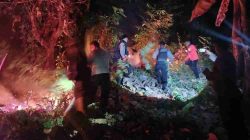 Pusdalops BPBD Sulbar Terima Informasi Kejadian Bencana Karhutla di Dusun Tanjung Batu