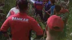 Damkar Sulbar Berhasil Padamkan Kebakaran Lahan di Desa Bambu Bersama Tim Gabungan