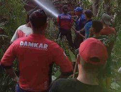 Damkar Sulbar Berhasil Padamkan Kebakaran Lahan di Desa Bambu Bersama Tim Gabungan