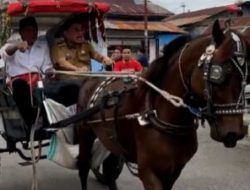 Hari Jadi Majene ke-481, Disbudpar Majene Bakal Terjunkan 32 Bendi