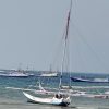 Sandeq Silumba 2026, Begini Kecepatan Angin di Pantai Banua Sendana Besok saat Star Sandeq Marathon