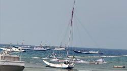Sandeq Silumba 2026, Begini Kecepatan Angin di Pantai Banua Sendana Besok saat Star Sandeq Marathon