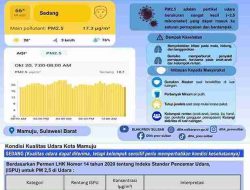 DLHK Sulbar Bagikan Informasi Kualitas Udara Mamuju, PM2.5 Berada pada Kategori Sedang